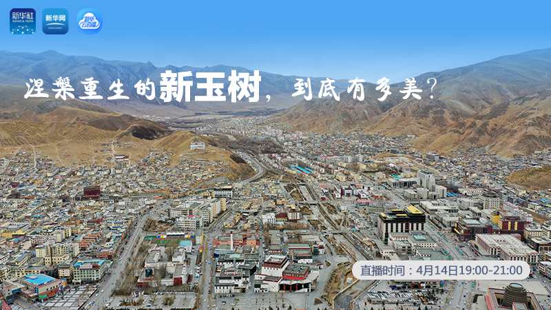 涅槃重生的新玉樹(shù)，到底有多美？