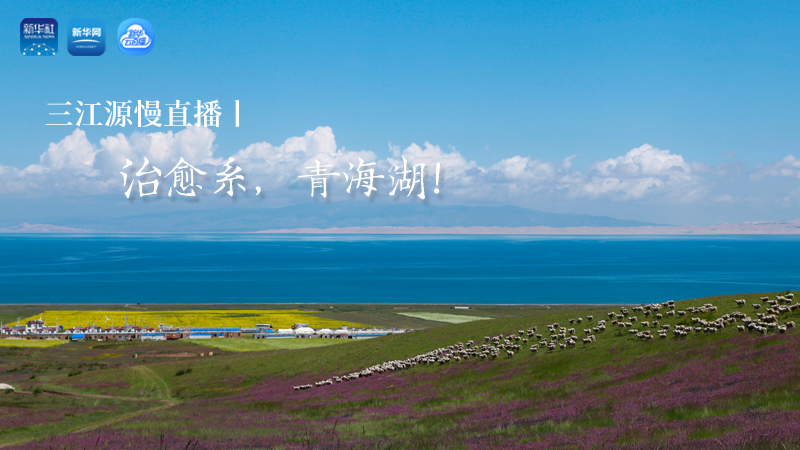 三江源慢直播丨治愈系，青海湖！